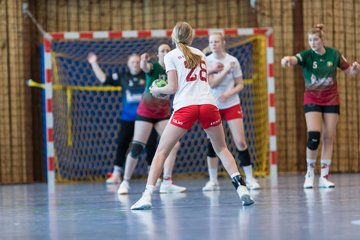 Bild 91 - F HSG Kremperheide/Muensterdorf - Slesvig IF 2 : Ergebnis: 30:26